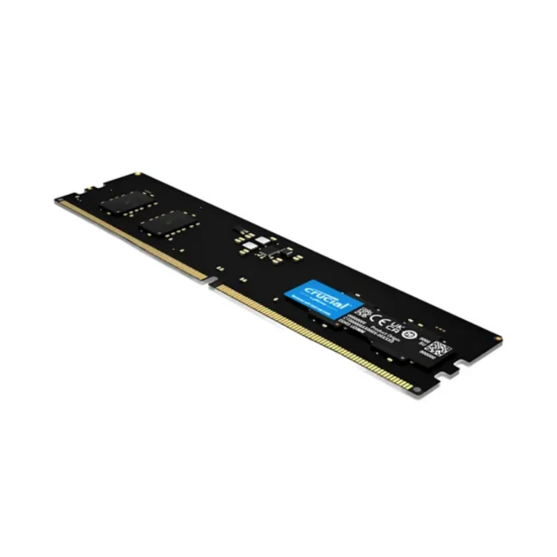 D5560CRUCT8G56C4-1