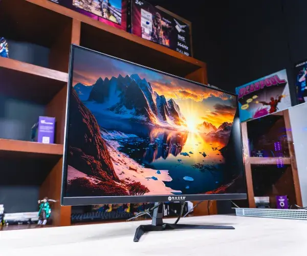 FLUIDEZ Y COLOR EN CADA DETALLE