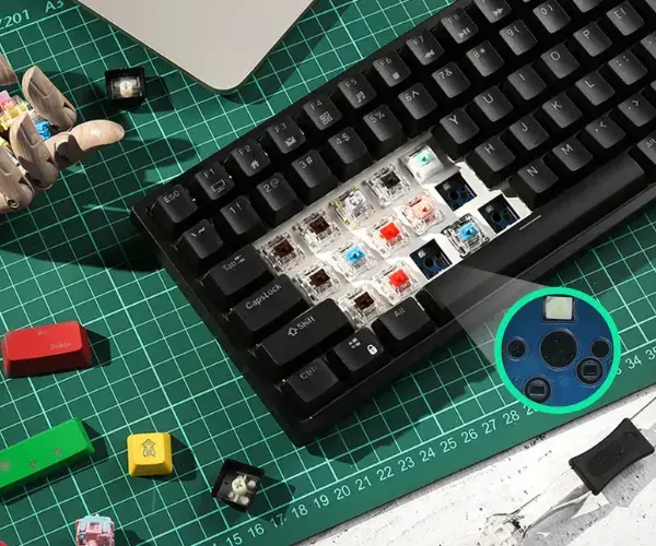 SWITCHES INTERCAMBIABLES AL INSTANTE