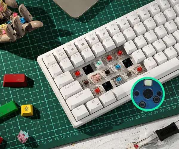 SWITCHES INTERCAMBIABLES AL INSTANTE