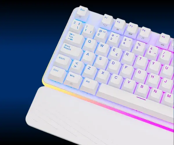 REGISTRO PRECISO DE TODAS LAS TECLAS