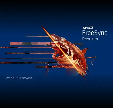 FREESYNC PREMIUM