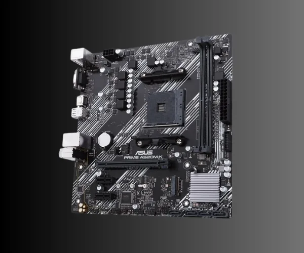 SALIDAS DE VIDEO Y RED